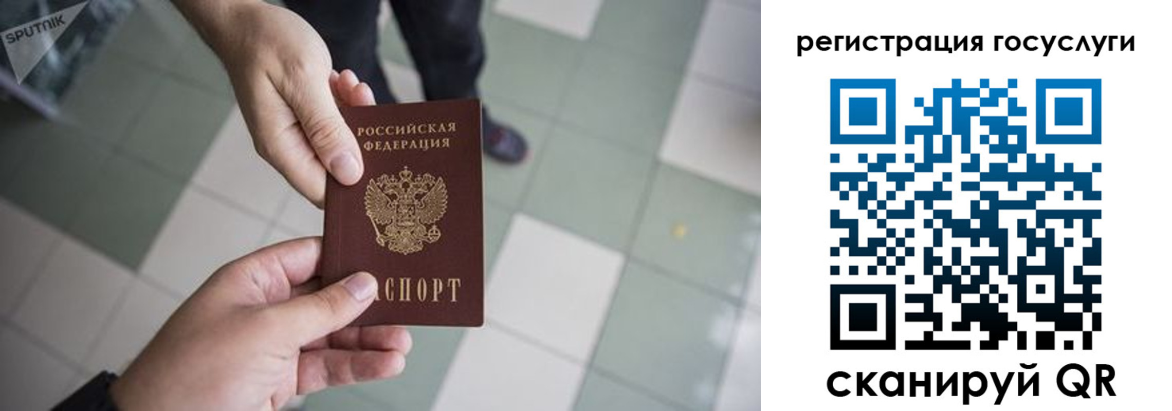 прописка для школы в Кемерово